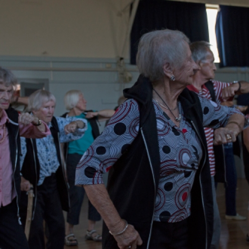 World's oldest dance group, specializing in hip-hop dance. Dancers age range from 60 to 96